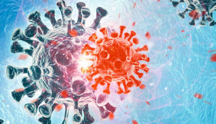 مصر تعلن عن رصد أول حالتي إصابة بمتحور كورونا الجديد - دايلي بريس المغرب